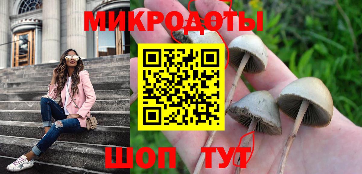 Галлюциногенные грибы Psilocybine cubensis  Вход с VPN  Псилоцибиновые грибы прущие грибы  цены   Пушкино 